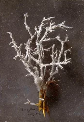 Styczeń (z serii dwunastu)