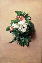 Maj (z serii dwunastu)