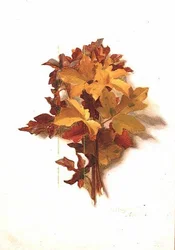 Listopad (z serii dwunastu)