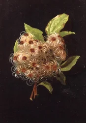 wrzesień (z serii dwunastu)