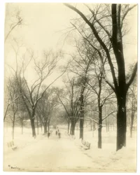 The Common, Boston, USA, ok.1902-10 (zdjęcie żelatynowo-srebrowe)