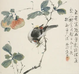 Chiński Hwamei jedzący konika polnego, 1857