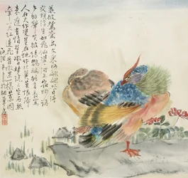 Para kaczek mandarynek, 1857