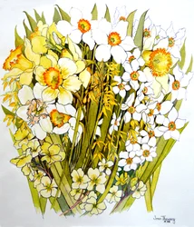 Żonkile, Narcyz, Forsycja i Pierwiosnki, 2000
