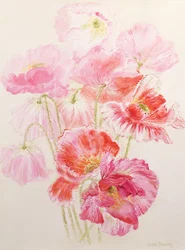 Shirley Maki
