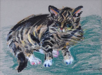 Kot pręgowany,2005 (pastelowy)