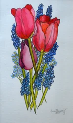 Tulipany, Muscari i Forget-me-nots,2002,