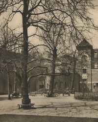 Pod wiązami na dziedzińcu szpitala Middlesex, ok. 1935.