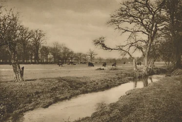Gdzie Beverley Brook wije się przez Królewski Park Myśliwski w Richmond, c1935.