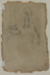 Studia byka, 1864.