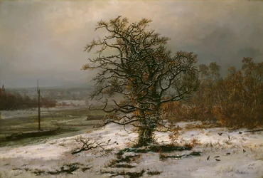 Dąb nad Łabą zimą