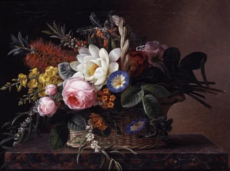 Martwa natura z callistemons, lilie, żarnowiec, róże i convulvus. Obraz autorstwa Johana Laurentza Jensena (1800-1856) Kolekcja prywatna.