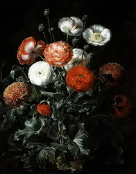 Egzotyczne maki. Obraz autorstwa Johana Laurentza Jensena (1800-1856) Kolekcja prywatna.