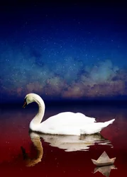 Bird Kingdom 4, 2018 (cyfrowa fotografia)