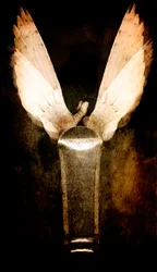 Pędzel, 2013 (obróbka zdjęć)