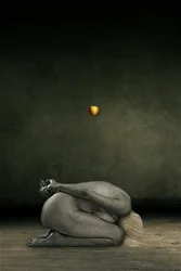 Ukryj siebie, 2013 (obróbka zdjęć)