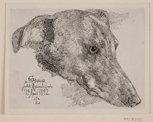 Duński: Hundehoved, Snip