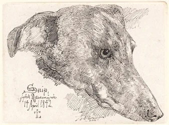 Duński: Hundehoved, Snip