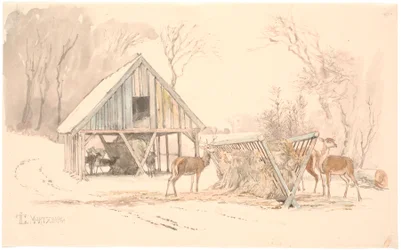 Żywopłoty na paszę dla zwierzyny w Dyrehaven