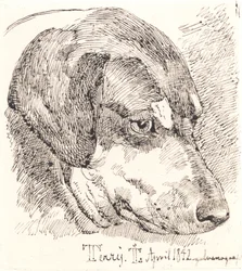 Hundehoved, Terry