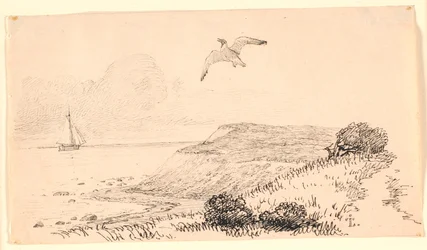 Mewa. Ilustracja do "Bajek dla dzieci" Kaalunda. Zobacz komentarz z katalogu arkuszy.