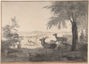 Widok na Dyrehaven