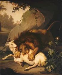 Lew atakujący kozę, 1785