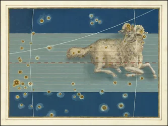 Baran - Johann Bayer