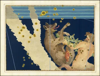 Johann Bayer, Lupus i Centaurus