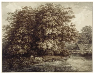 Młyn przy wielkich dębach