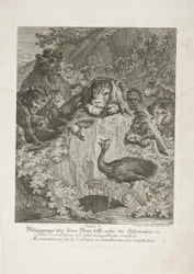 Fable V, płyta piąta z Instructive Fables of the Realm of Theire