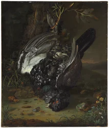 Cietrzew w leśnym krajobrazie, 1747