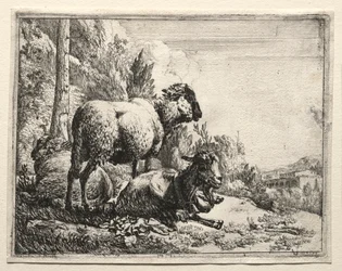 Koza z Dzwonkiem, 1665.