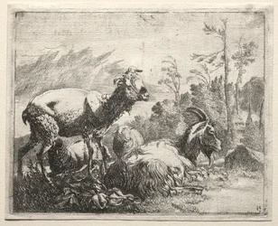 Kozy, 1665.
