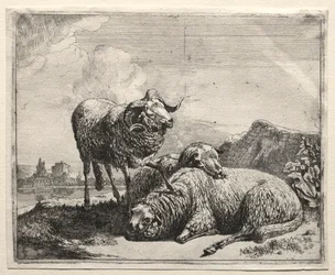 Baran i dwie owce, 1665.