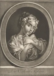Kochany gołąb
