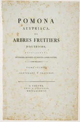 Strona tytułowa z „Pomona Austriaca, czyli austriackie drzewa owocowe”, 1787-96 (druk)
