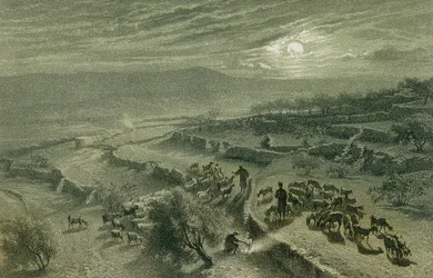 Dolina pasterzy w Betlejem. Akwaforta Bernatza et alii - Steinkopk J.F. Editore