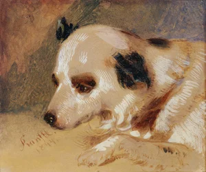 Głowa psa (olej i tempera na papierze)