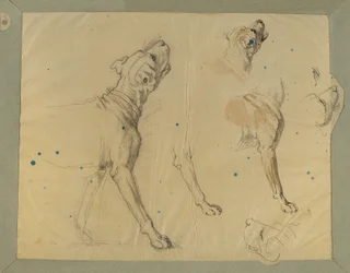 Studium psów na „Powrót do domu człowieka z Landwehry” (1820)