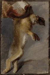 Badanie zająca