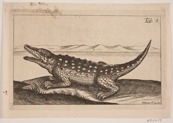 Krokodyl