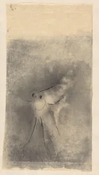 słoneczna ryba