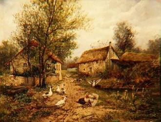 Drób nad stawem w zagrodzie