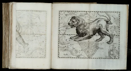 Lew (konstelacja), z „Prodromus astronomii”