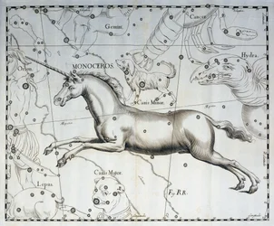 Monoceros, gwiazdozbiór Jednorożca, rycina z atlasu nieba Firmamentum Sobiescianum sive Uronographia Johanna Heweliusza (1611-1687), Gdańsk