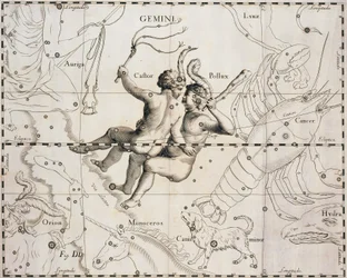 Gwiazdozbiór Gemini, ilustracja z Firmamentum Sobiescianum sive Uranographia, autorstwa Johanna Heveliusa (1611-1687), Gdańsk 1690