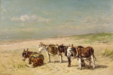 Osły na plaży