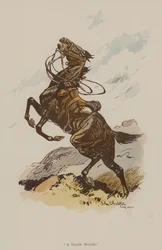 Rana Śmierci (kolor lito)