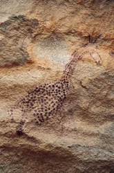 Żyrafa, malowidło jaskiniowe, okres pasterski (4000-2500 pne), Tassili n